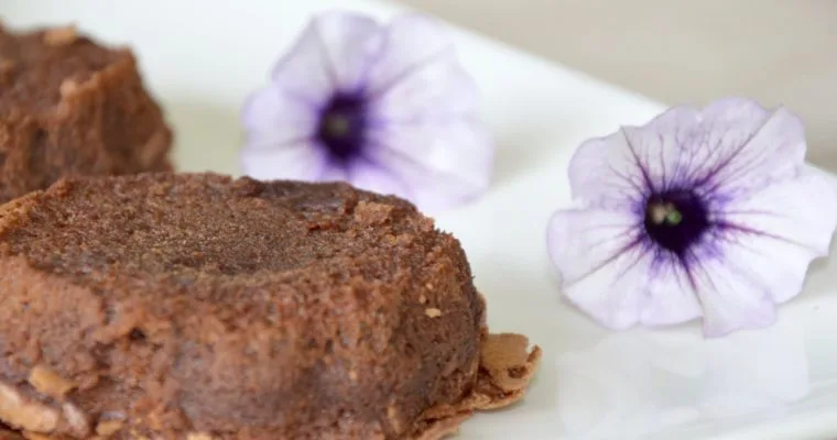 Le gâteau tout chocolat de Michele