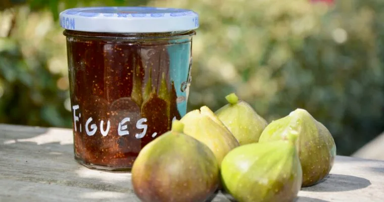 FIG JAM
