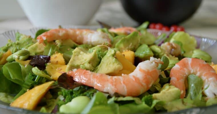 christine’s mango avocado and shrimp salad