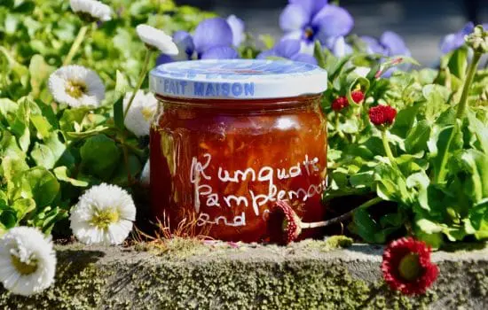 La confiture de kumquats et autres agrumes