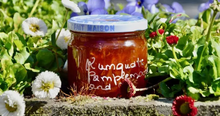 La confiture de kumquats et autres agrumes