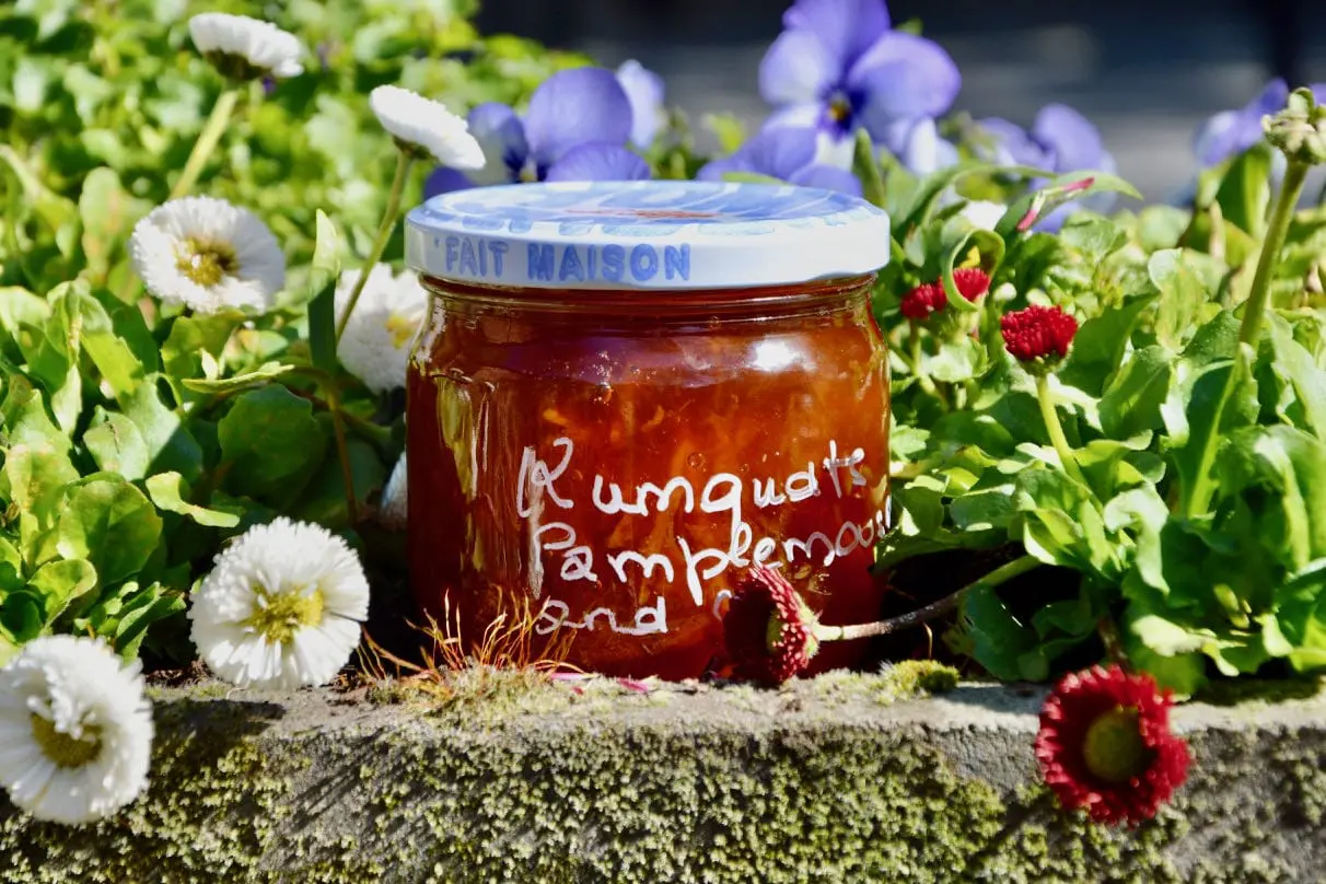 La confiture de kumquats et autres agrumes