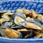 Les moules au curry