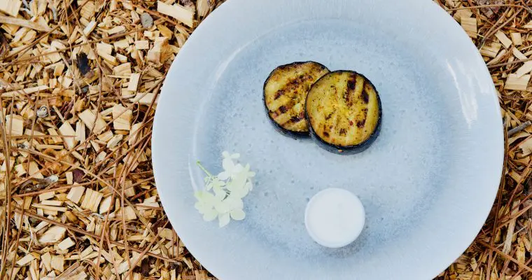 Harissa grilled Eggplant