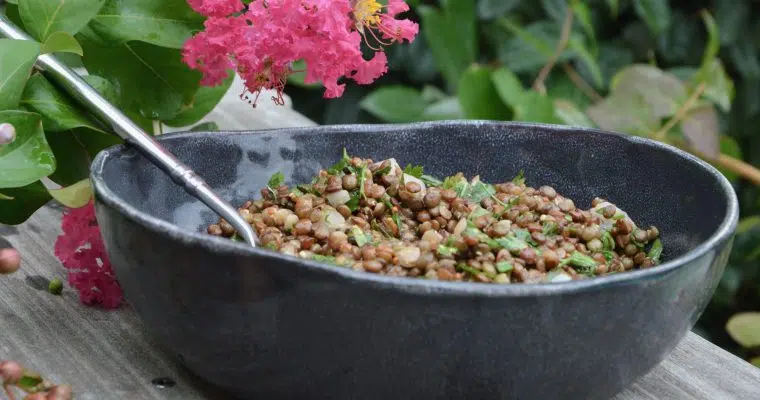 Lentil and shallots salad