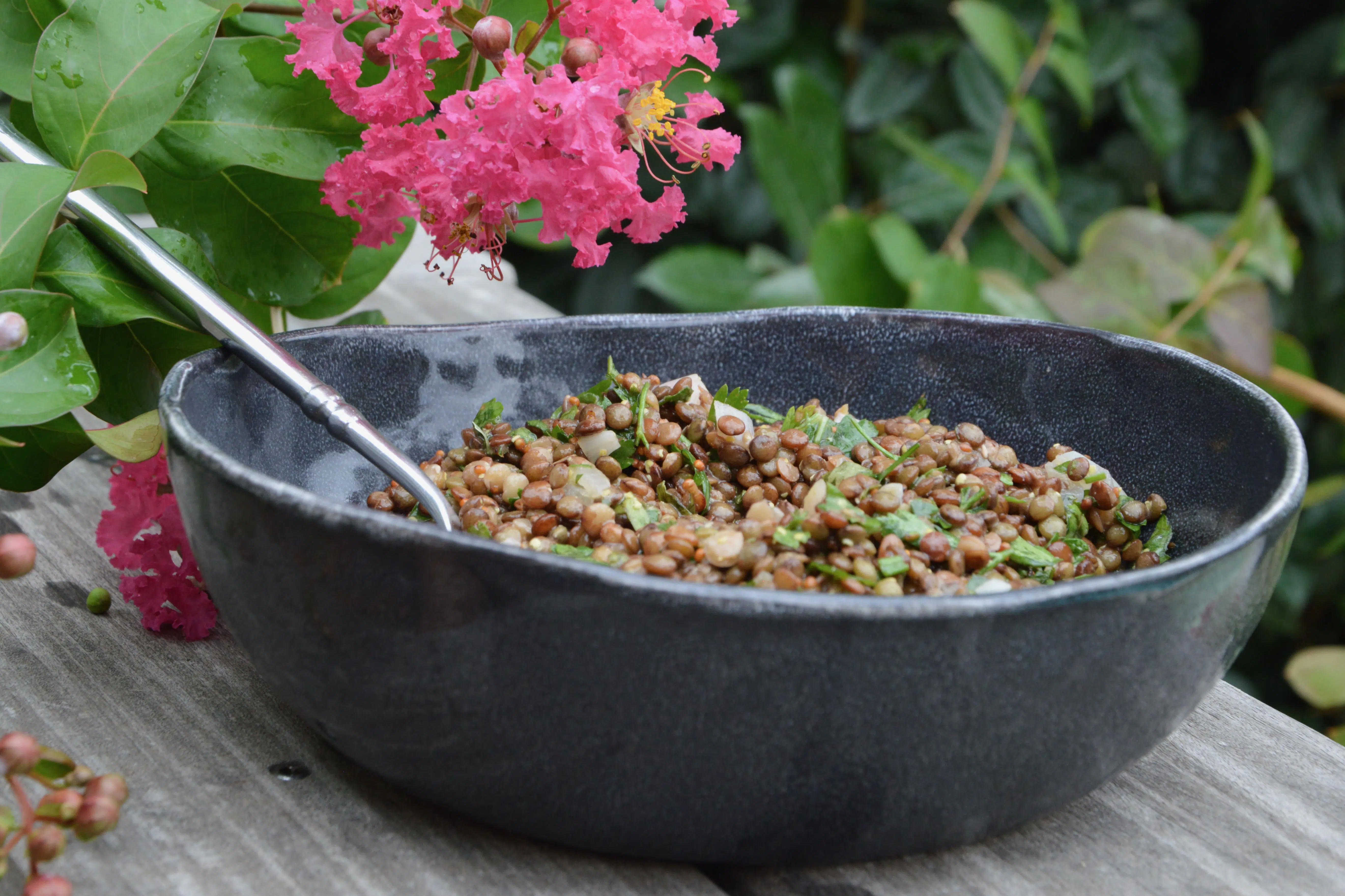 Salade de lentilles aux échalotes