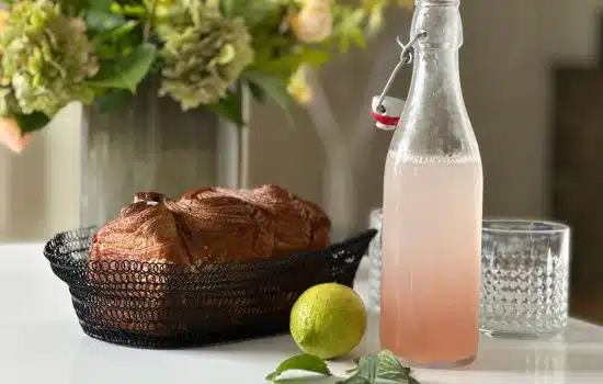 Les grains de kefir d’eau et la recette du kefir de fruit