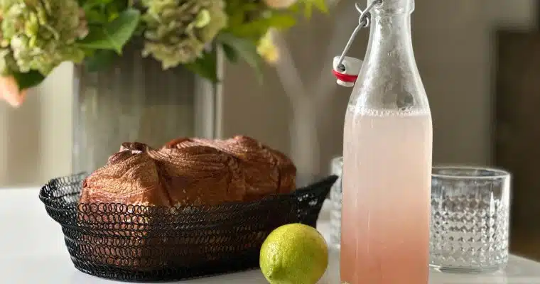 Water kefir seeds and fruit kefir recipe