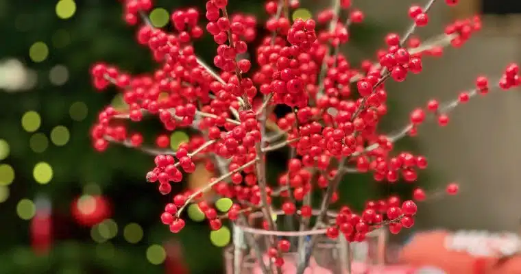 Le menu d’hiver festif et facile à préparer