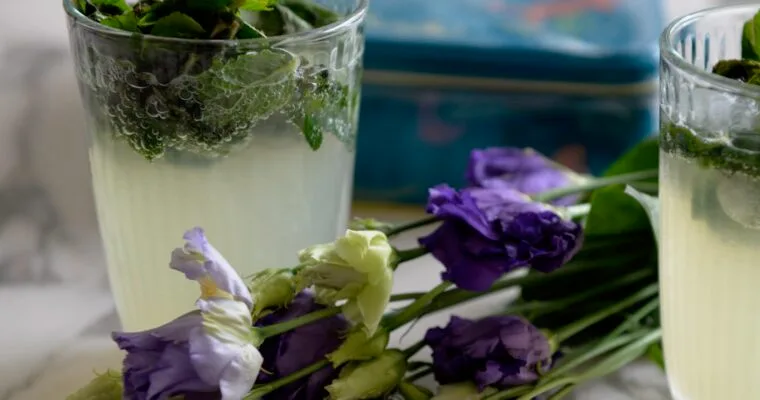 THE PERFECT VIRGIN MOJITO