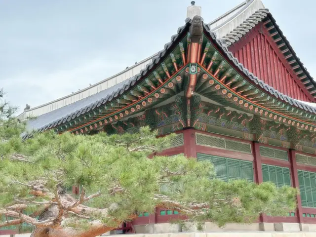 🌱🍃SEOUL IN SPRING🍃🌱🥰☀️😋#korea #coexmall #ewhawomansuniversity #sejongno #yonsan #dosanpark #itaewon #gangnam #hannam #myeong #lesmenusplaisir